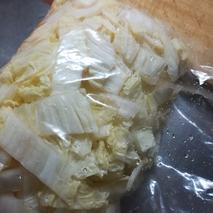 白菜の冷凍保存方法